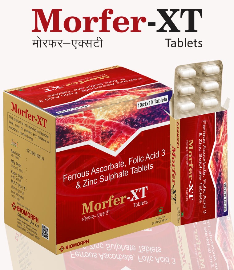 MORFER-XT