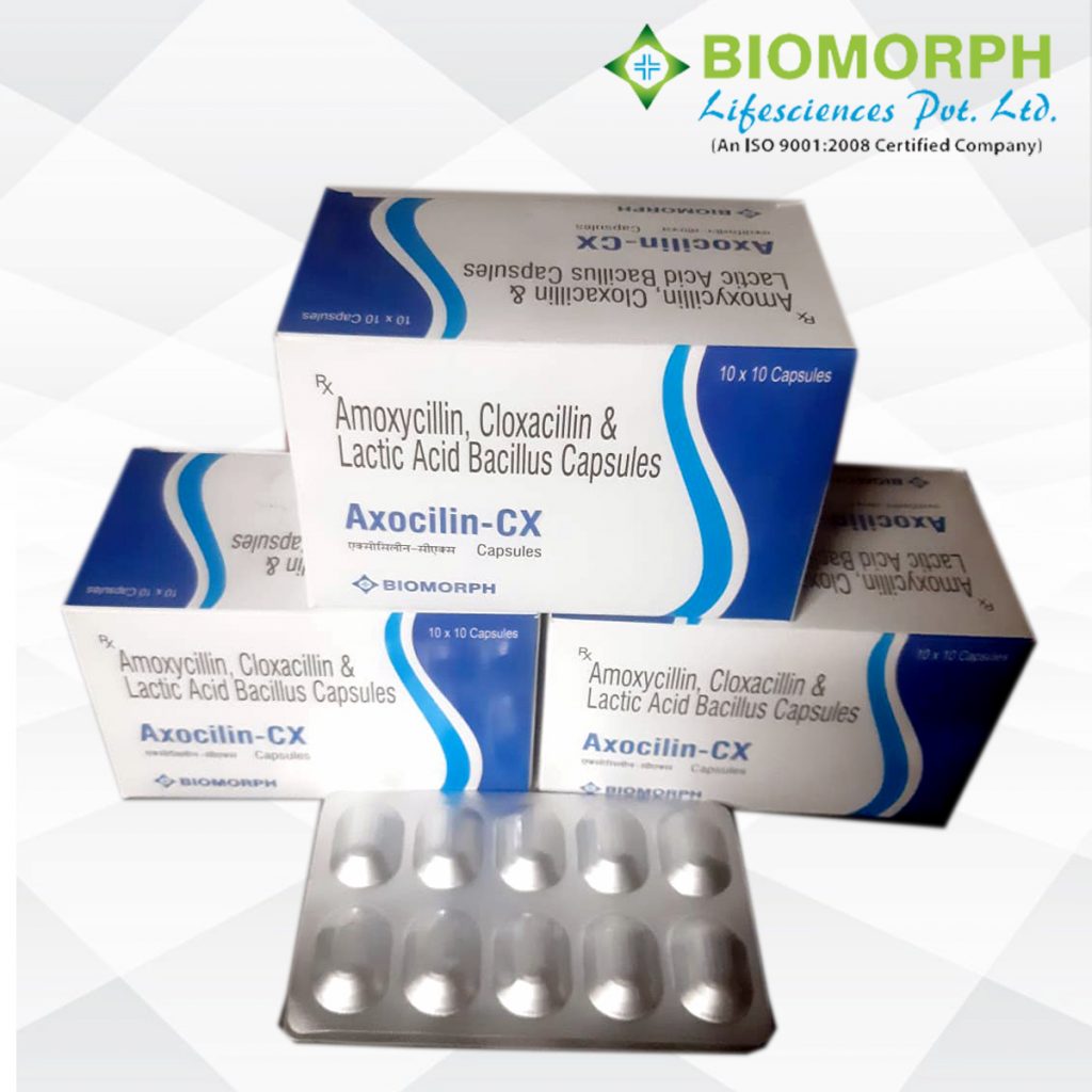 Amoxycillin, Cloxacillin & Lactic Acid Bacillus