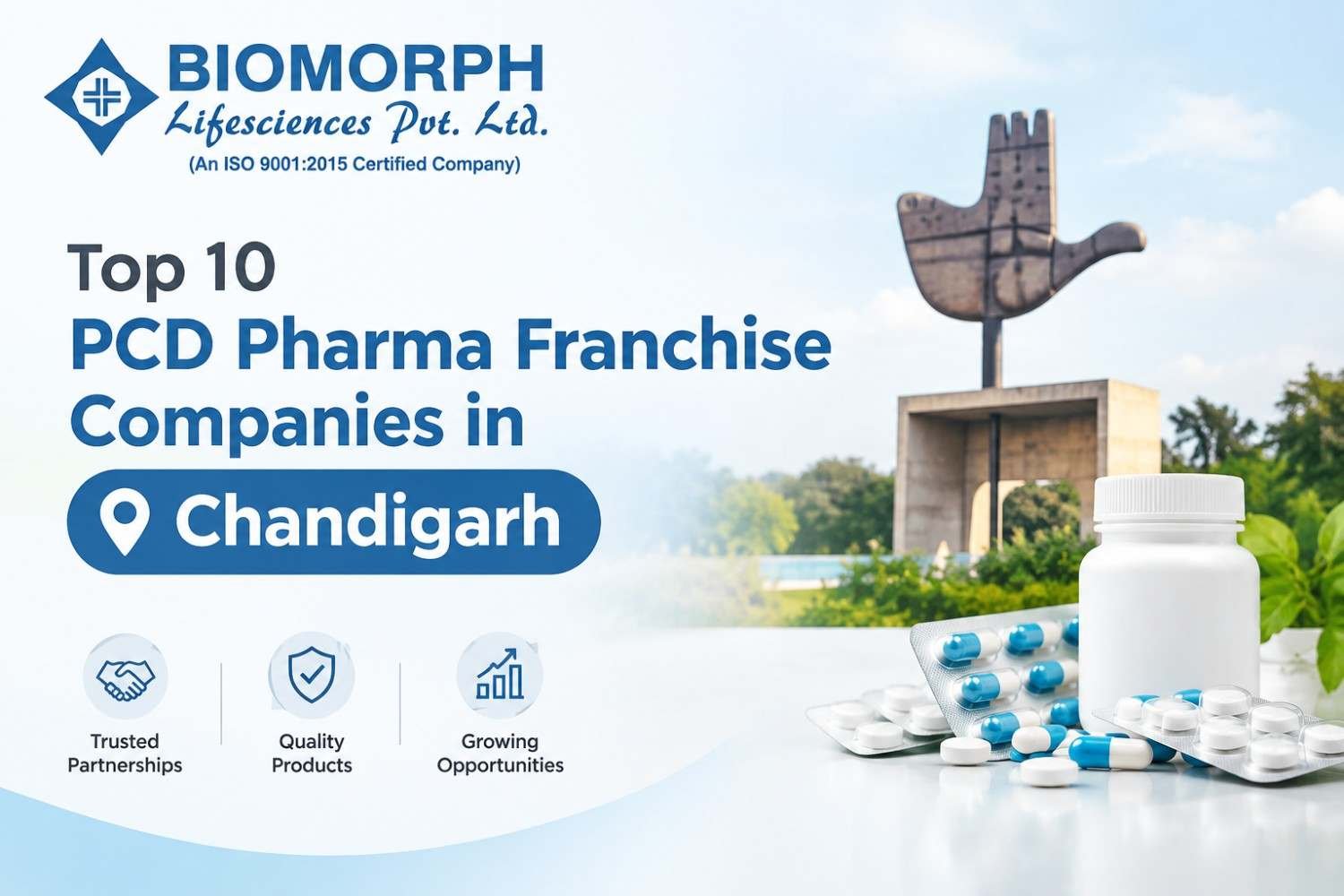 Top 10 PCD Pharma Franchise for Pharma Businesses