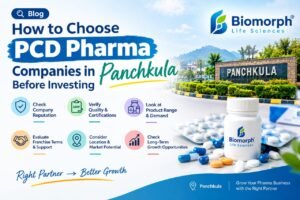 How to Choose PCD Pharma Companies in Panchkula Before Investing 