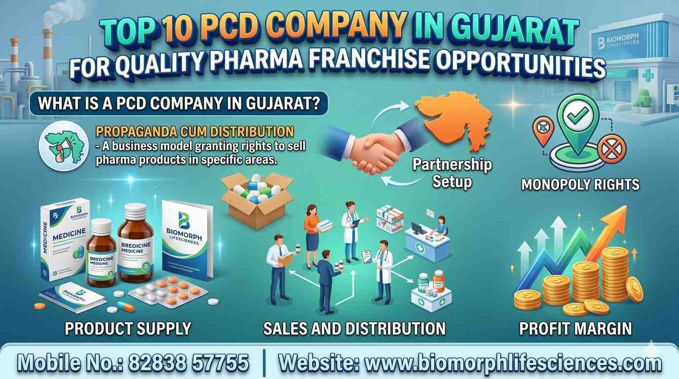 pcd company in gujarat