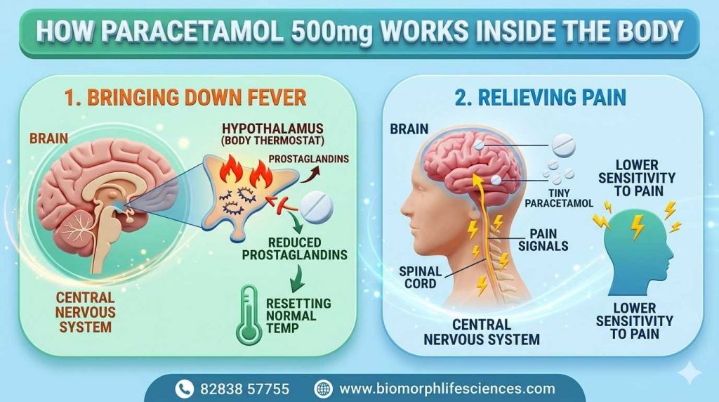 paracetamol 500mg