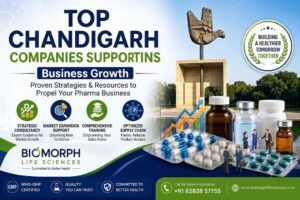 Leading Pharmaceutical Companies: Top Ten Names in 2026