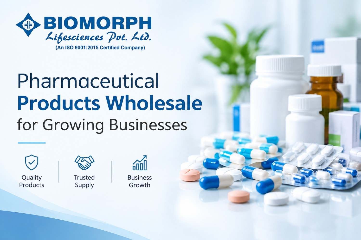 Pharmaceutical Products Wholesale for Growing Businesses