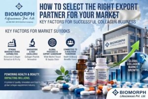 Top Pharma Export Companies in India for Distributors
