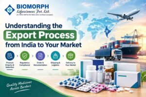 Understanding the Export Process from India to Your Market 