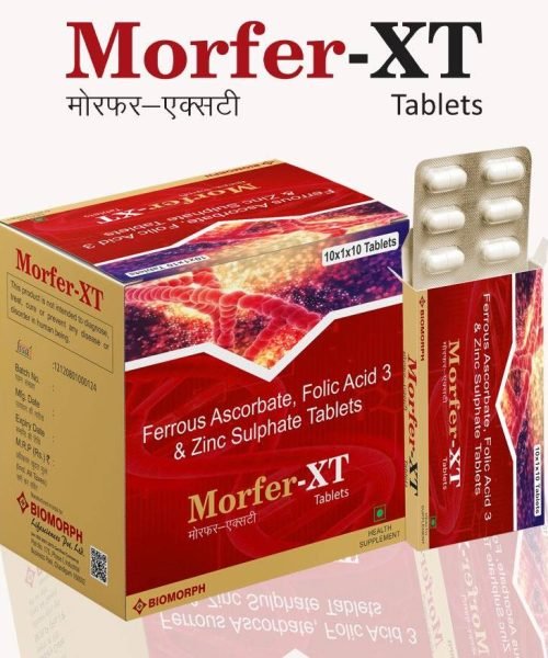 MORFER-XT